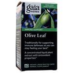 Gaia Herbs Olive Leaf 60 vcaps