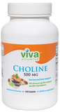 Viva Vitamins Choline 500 mg 100 tablets